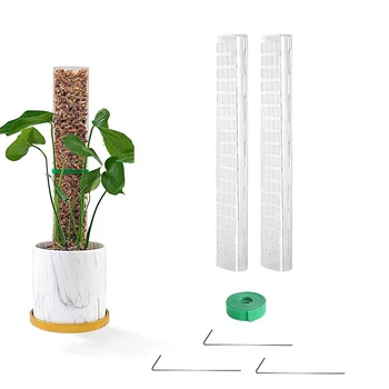 1 комплект кольев для растений и сфагнового мха, подставка для вьющихся растений, пластиковый шест для мха в форме черепахи