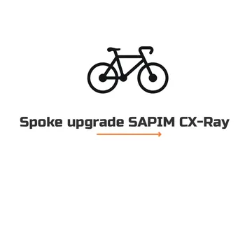 Стоимость замены спиц с Pillar 1432 на SAPIM CX-RAY для колес с 24/24 отверстиями